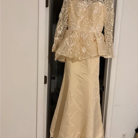 Formal Champagne Peplum Style Evening Gown for Weddings & Parties -  size 10 - Picture 5 of 6
